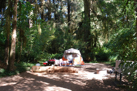 Elk Prairie Campground, Prairie Creek Redwoods State Park, CA