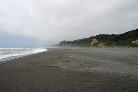 Gold Bluffs Beach, Prairie Creek Redwoods State Park, CA