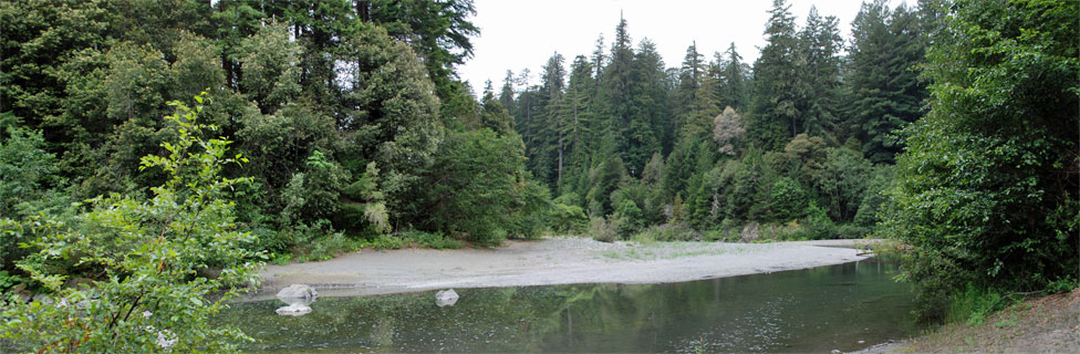 Grizzly Creek Redwoods State Park, California