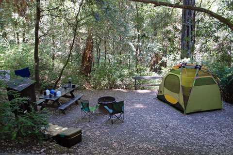 Hidden Springs Campground, Humboldt Redwoods State Park, CA