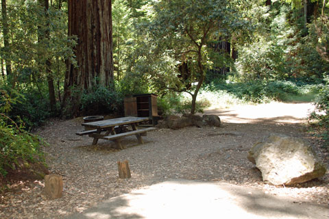 Huckleberry Campground, Richardson Grove State Park, CA