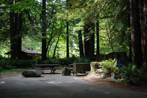 Mill Creek Campground, Del Norte Coast Redwoods State Park, CA