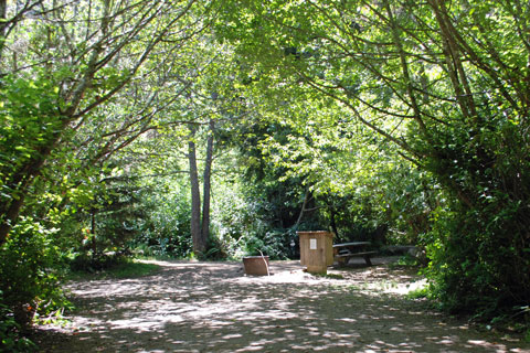 Penn Creek Campground, Patrick's Point State Park, CA