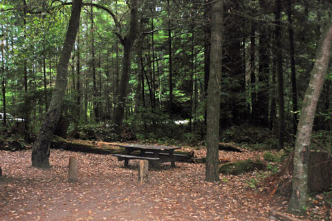 Van Duzen County Park Campground, CA