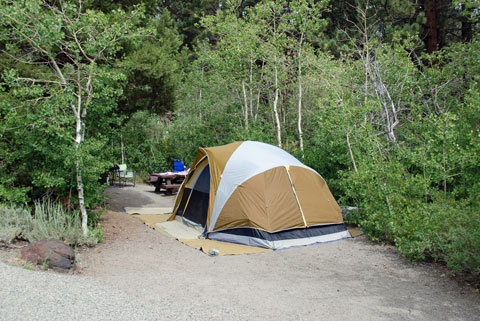 June Lake Campground, CA