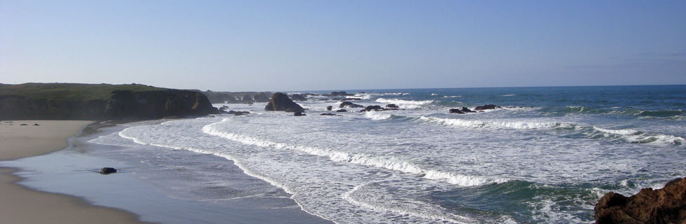 MacKerricher State Park, Mendocino Coast, CA