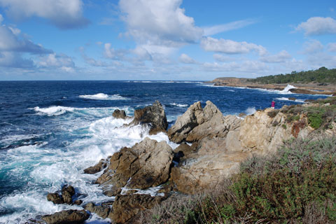 Point Lobos, CA