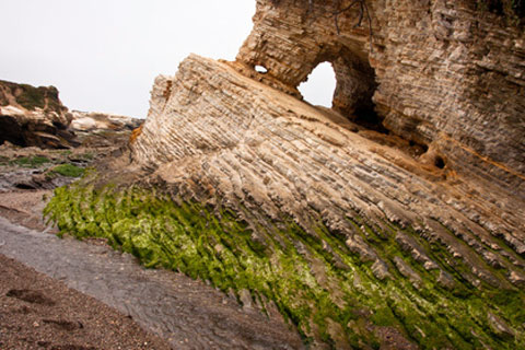 Montana de Oro State Park, CA