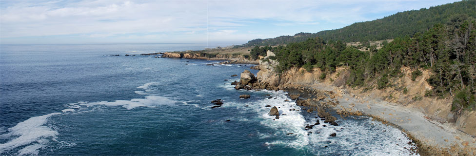 Salt Point State Park, California